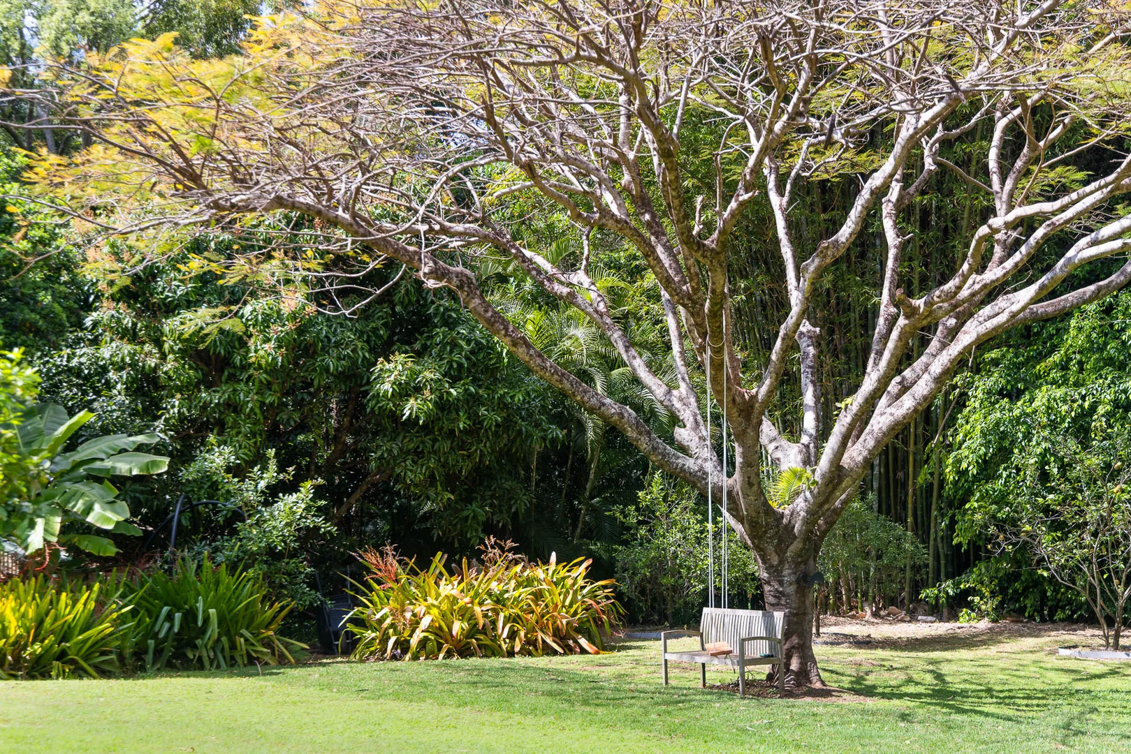 Additional image 22 of 43 Regency Road, Doonan QLD 4562