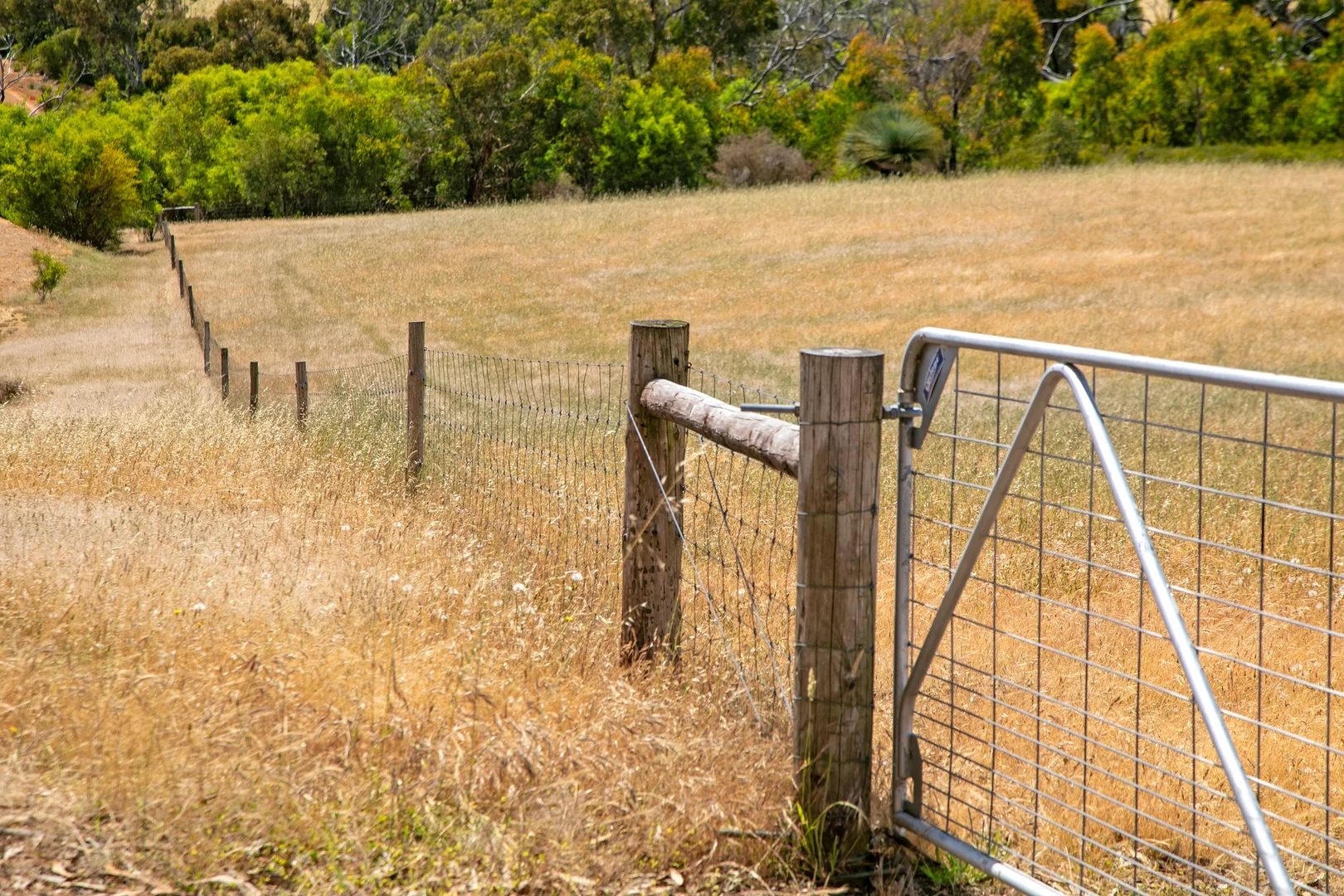 Additional image 50 of 157 Berrymans Road, Gosse SA 5223