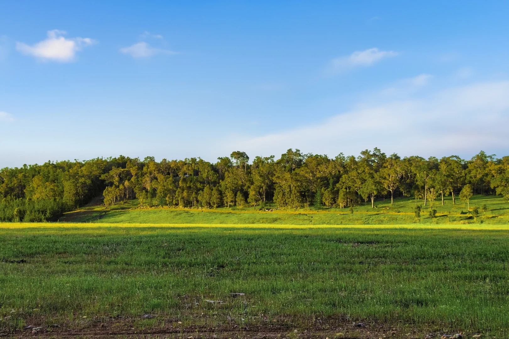 Additional image 11 of 7953 Brockman Highway, Nannup WA 6275