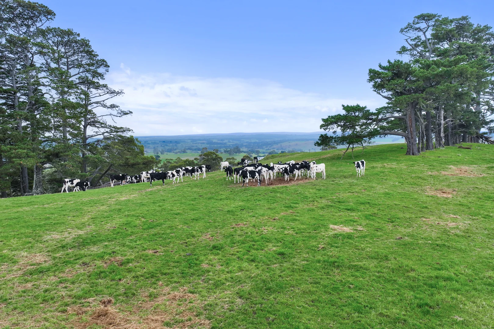 Additional image 7 of Lot 1-3 Mountain View-McDonalds Track, Mountain View VIC 3988