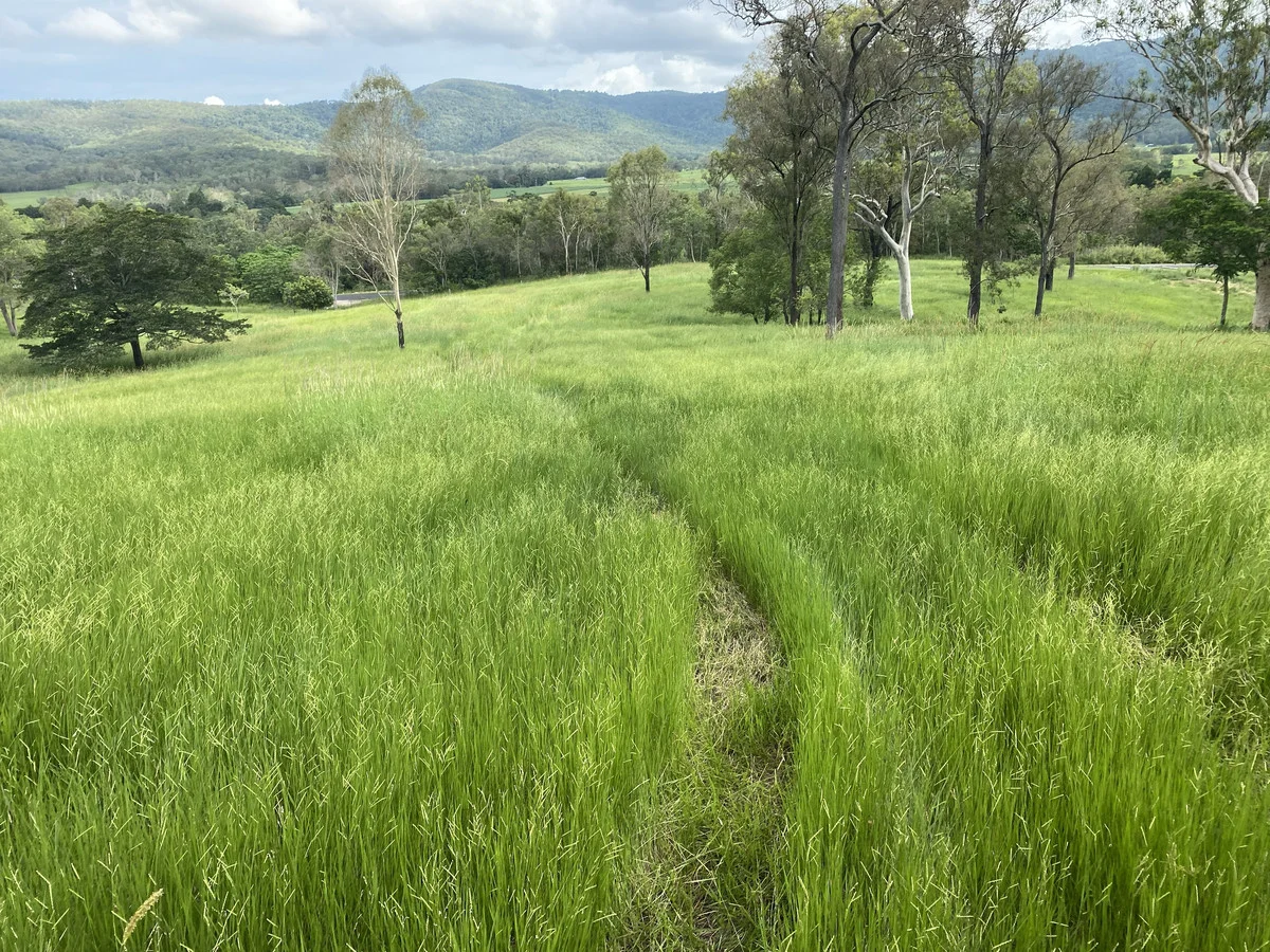 Additional image 5 of 558 Marlborough-Sarina Road, Sarina QLD 4737