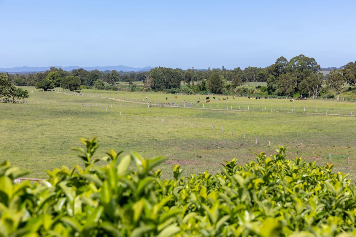 Additional image 25 of 363 Aberglasslyn Road, Aberglasslyn NSW 2320