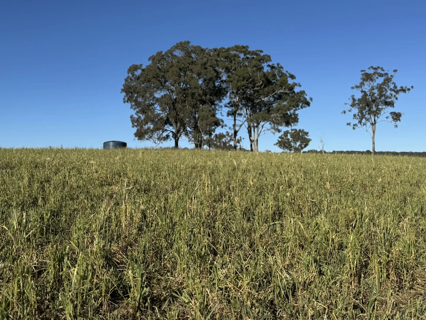 Additional image 29 of 231 Dascombe Road, Coalbank QLD 4352