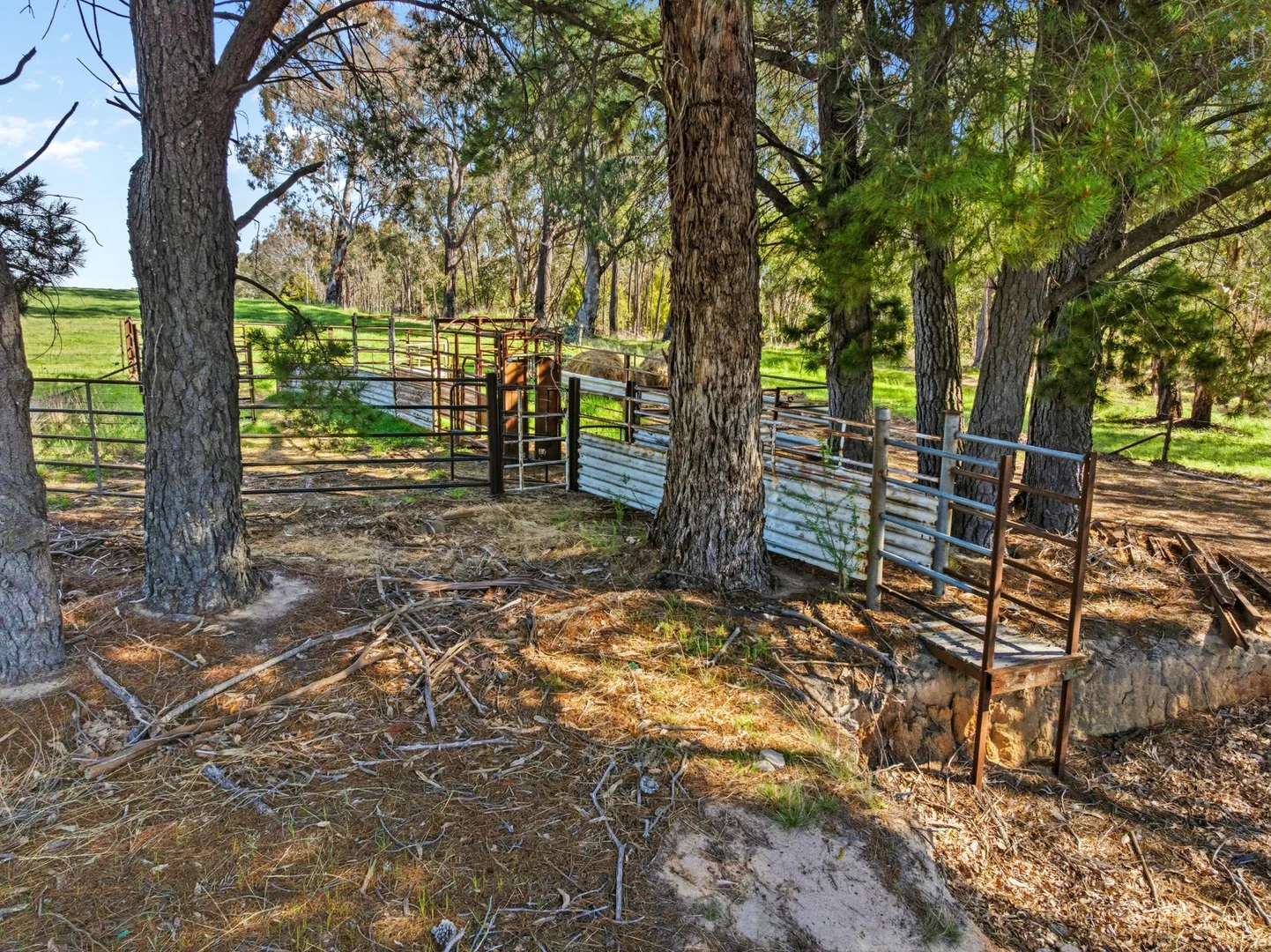 Additional image 19 of 589 Tooma Road, Tumbarumba NSW 2653