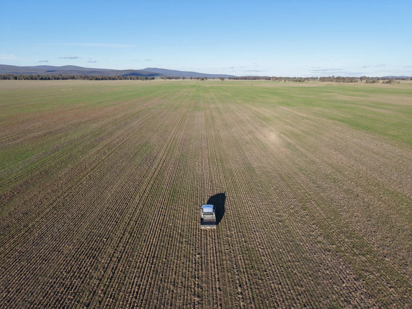 Additional image 8 of 1745 Bimbi Caragabal Road, Bimbi NSW 2810