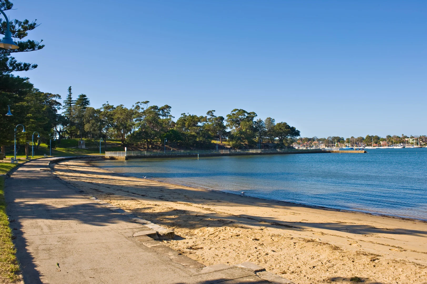 Additional image 6 of 39 Carwar Avenue, Carss Park NSW 2221