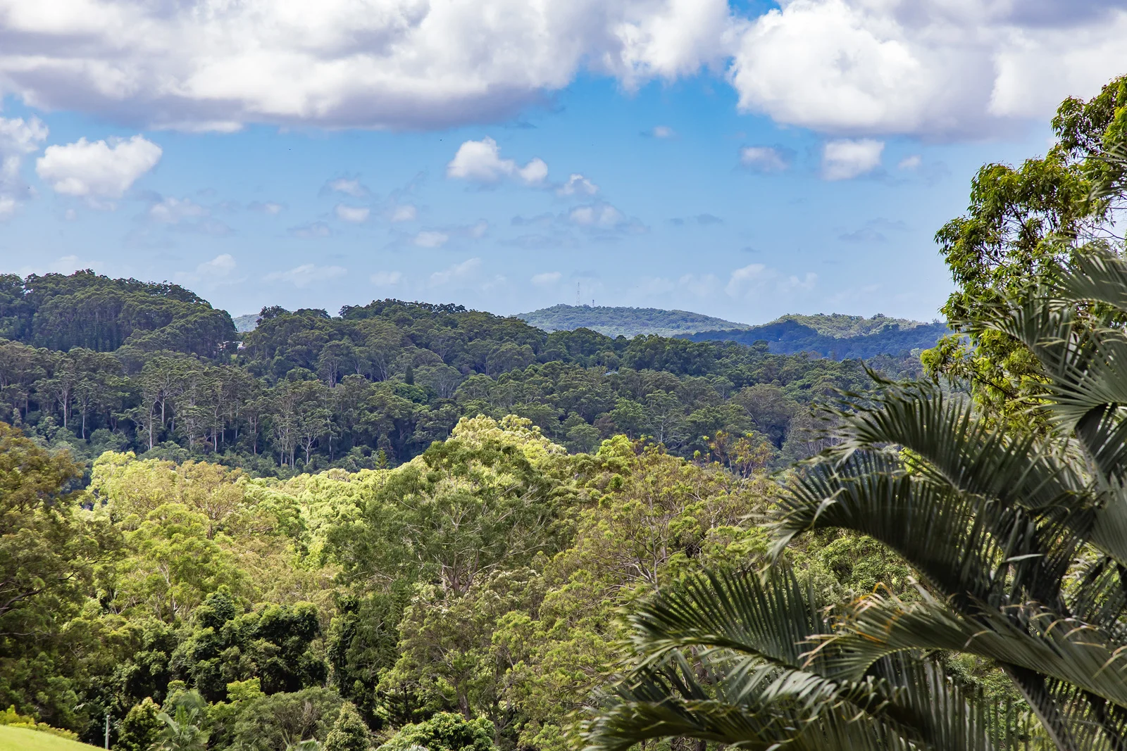 Additional image 18 of 435-451 Blackall Range Road, West Woombye QLD 4559