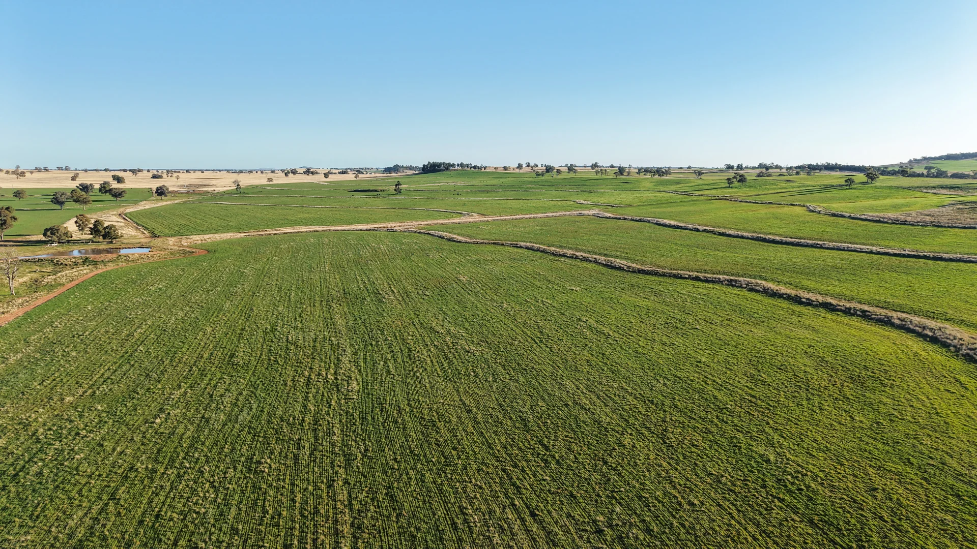 Additional image 8 of 38 Tallawonga Road, Elong Elong NSW 2831