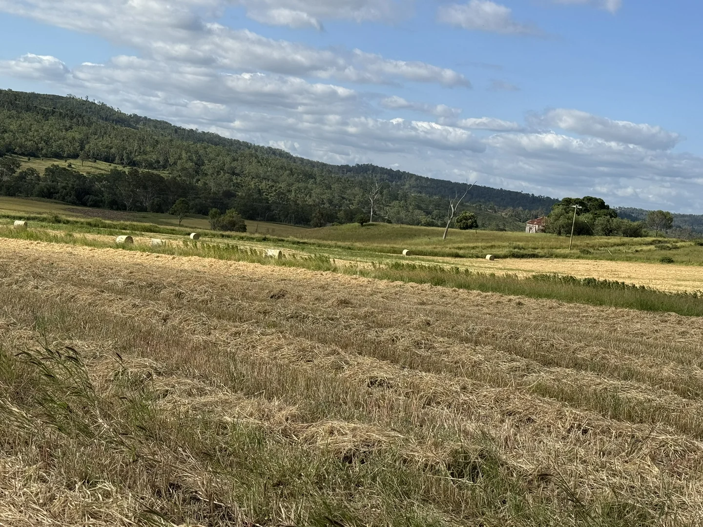 Additional image 25 of 231 Dascombe Road, Coalbank QLD 4352