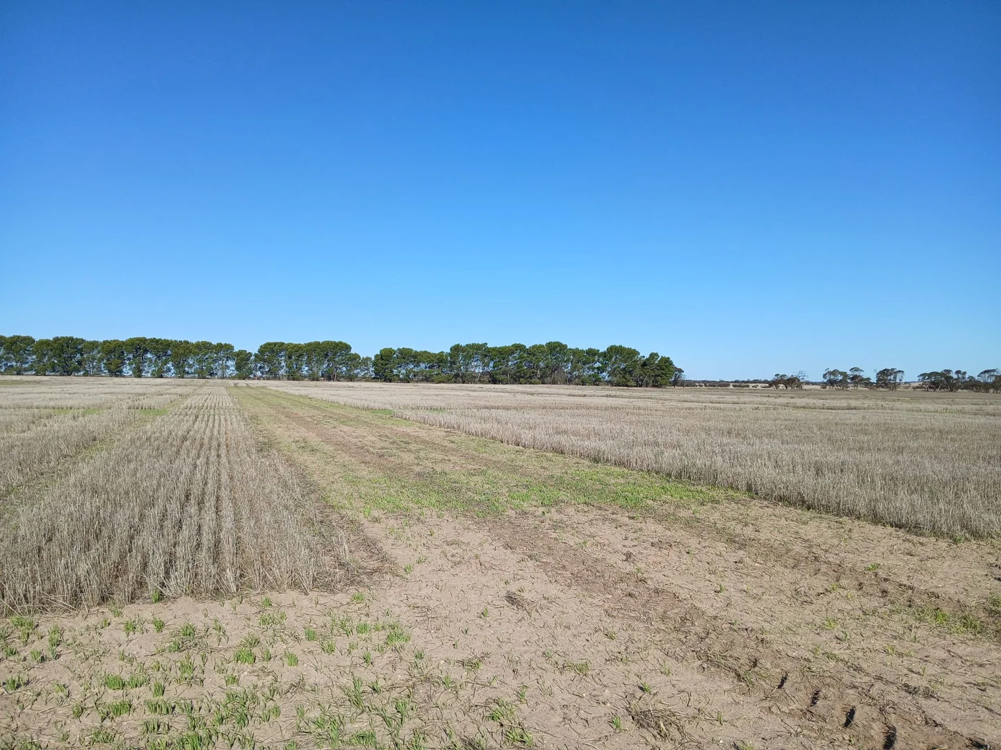 Additional image 15 of 1100 Propodollah Road, Nhill VIC 3418