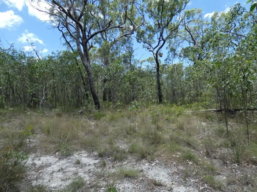 Additional image 6 of 668 Matchbox Road, Deepwater QLD 4674