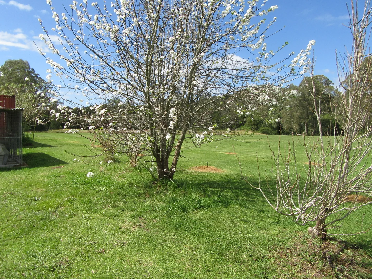 Additional image 45 of 10 Markwell Back Road, Bulahdelah NSW 2423