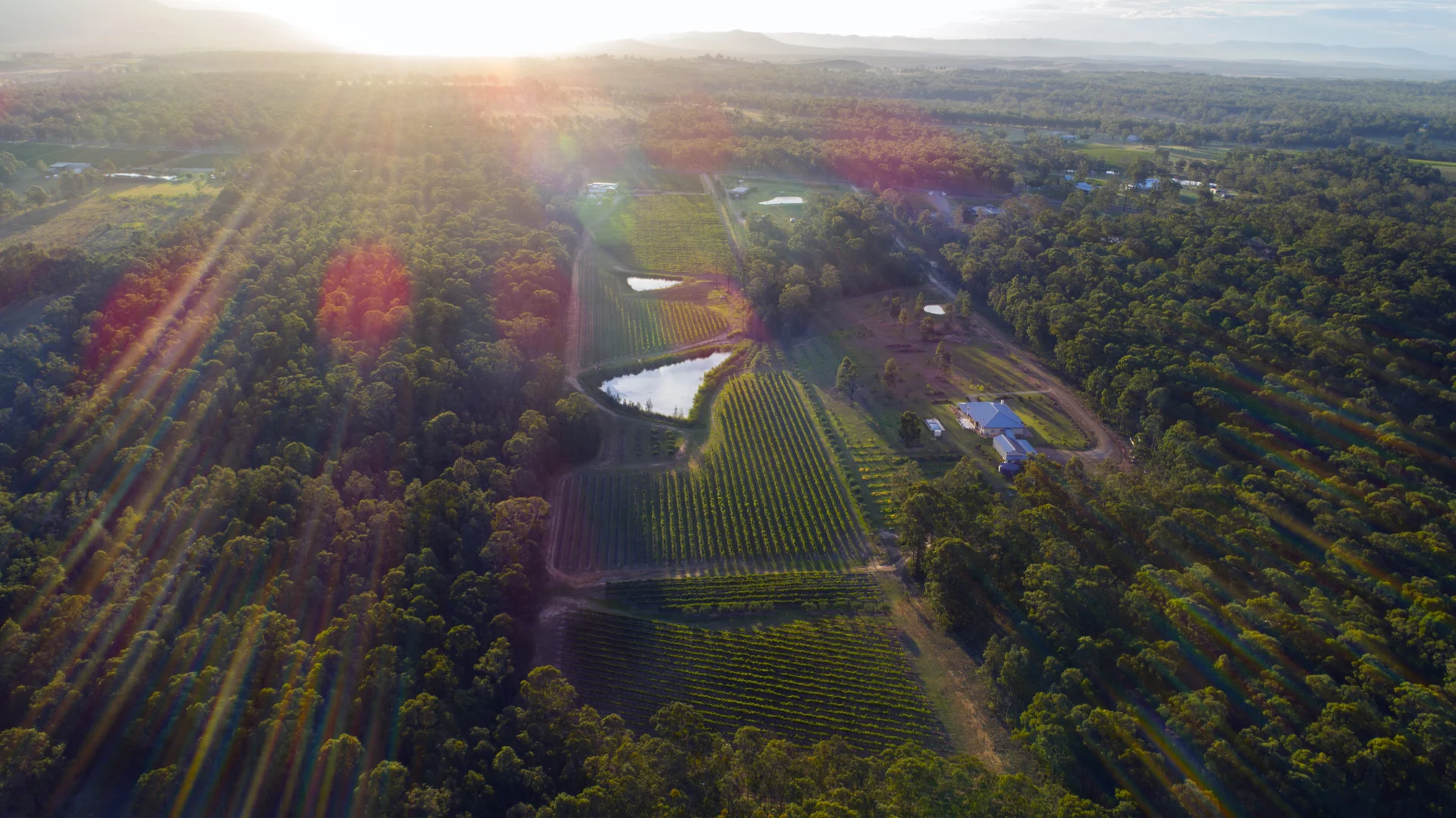 Additional image 2 of 725 Hermitage Road, Pokolbin NSW 2320