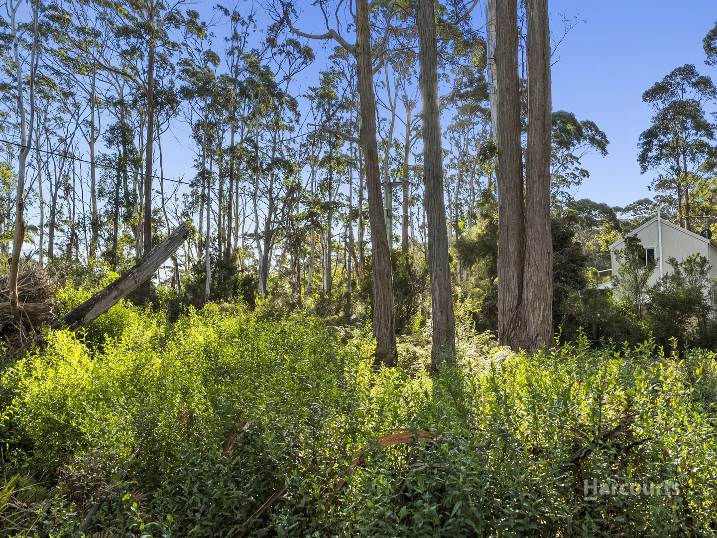 Additional image 10 of 334 Blowhole Road, Eaglehawk Neck TAS 7179