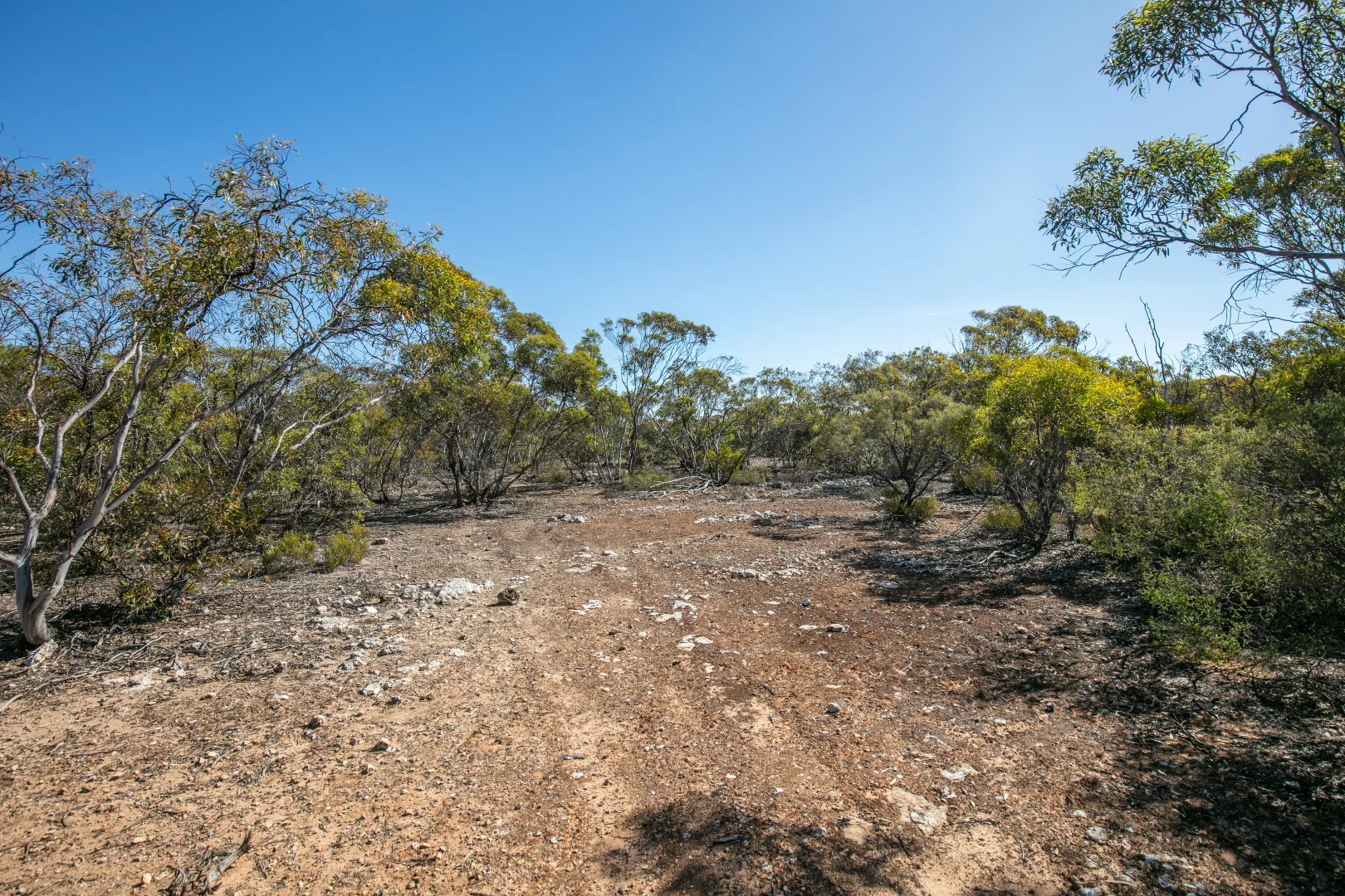 Additional image 7 of Lot 102 Green Road, Ettrick SA 5253