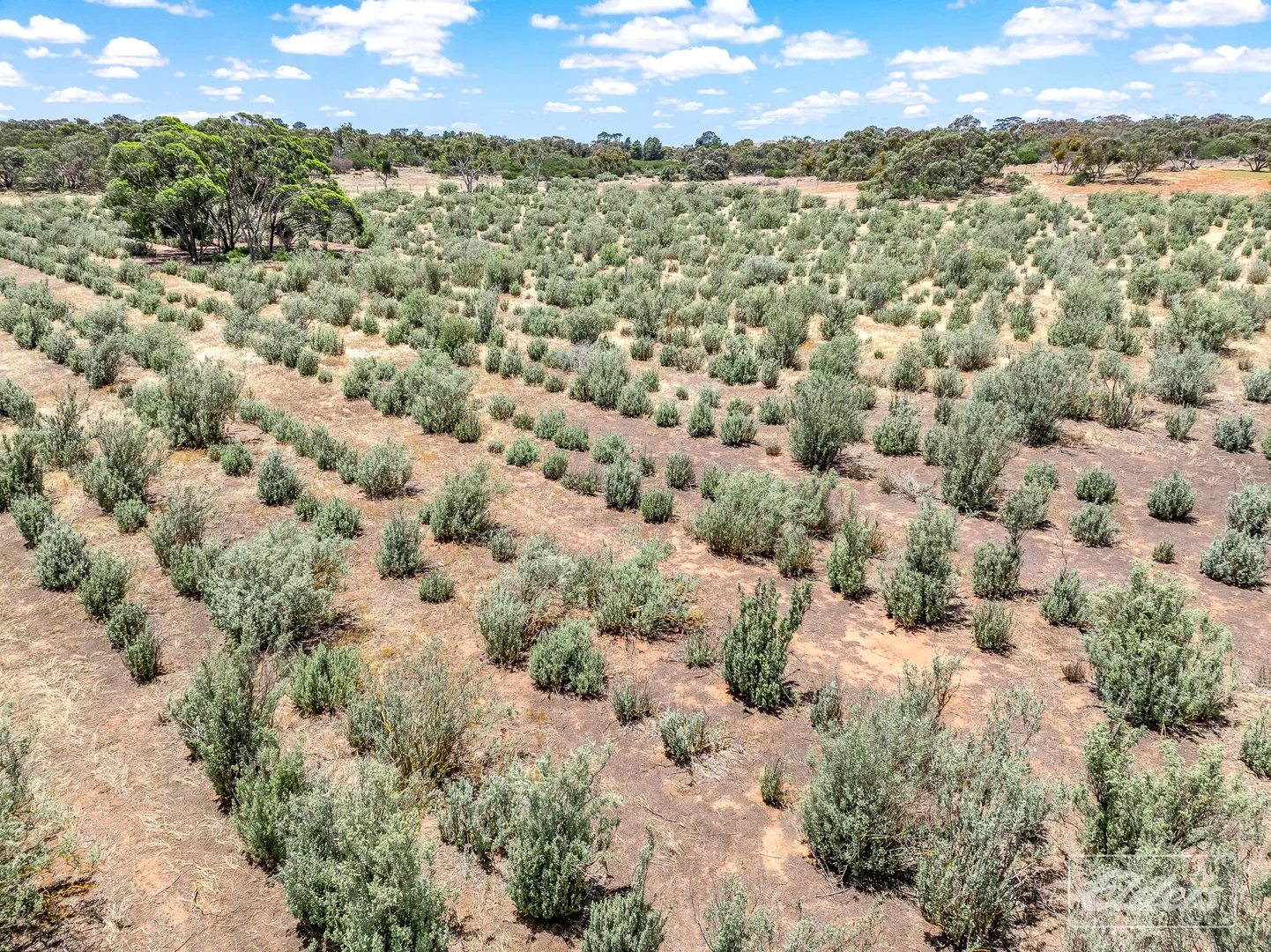 Additional image 30 of 775C North Bremer Road, Hartley SA 5255