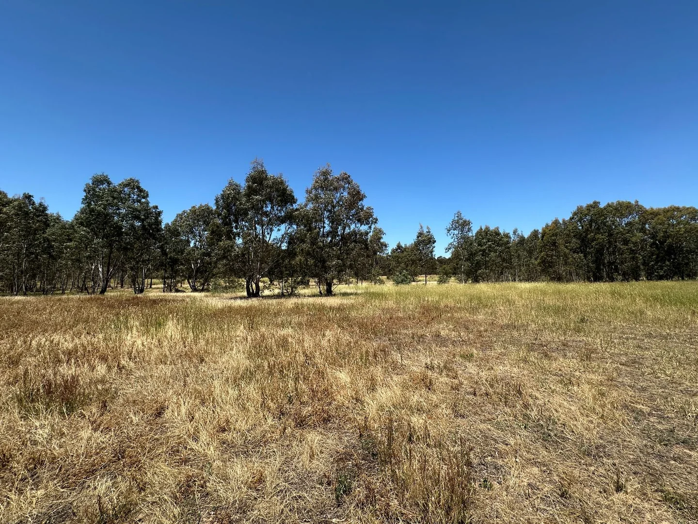 Additional image 2 of CA 58 Sec 9 Nesbit Road, Majorca VIC 3465