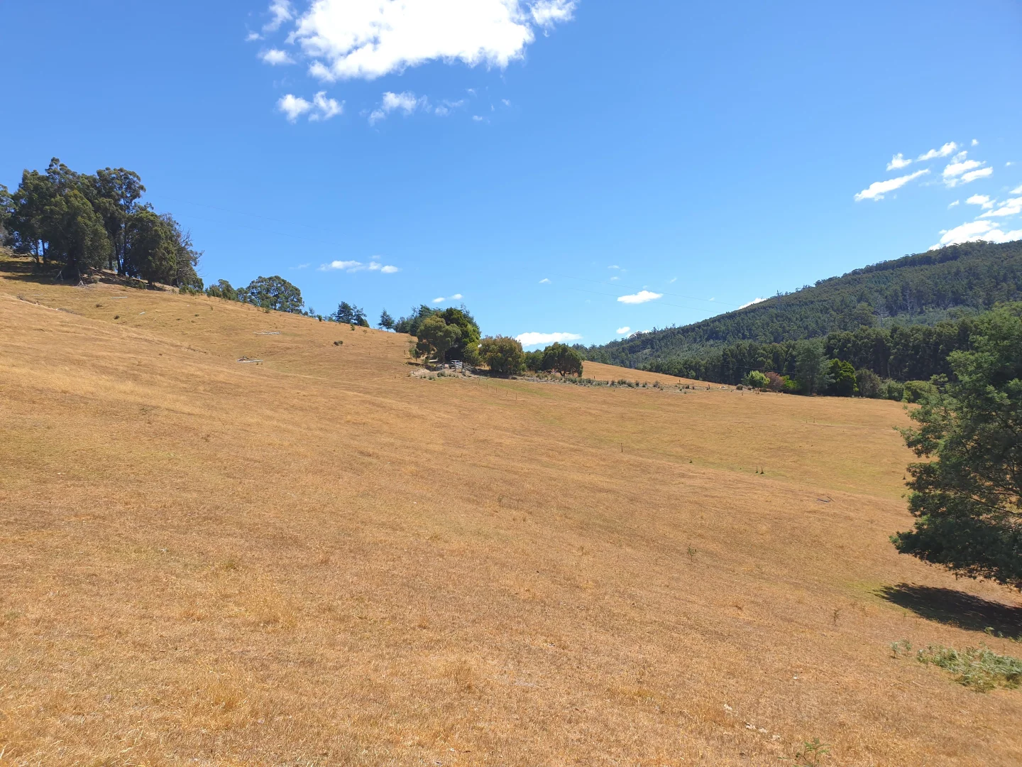 Additional image 8 of Lot 2 Arve Road, Geeveston TAS 7116
