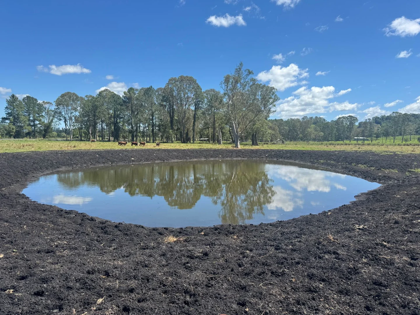 Additional image 17 of 464 Nimbin Road, Blakebrook NSW 2480