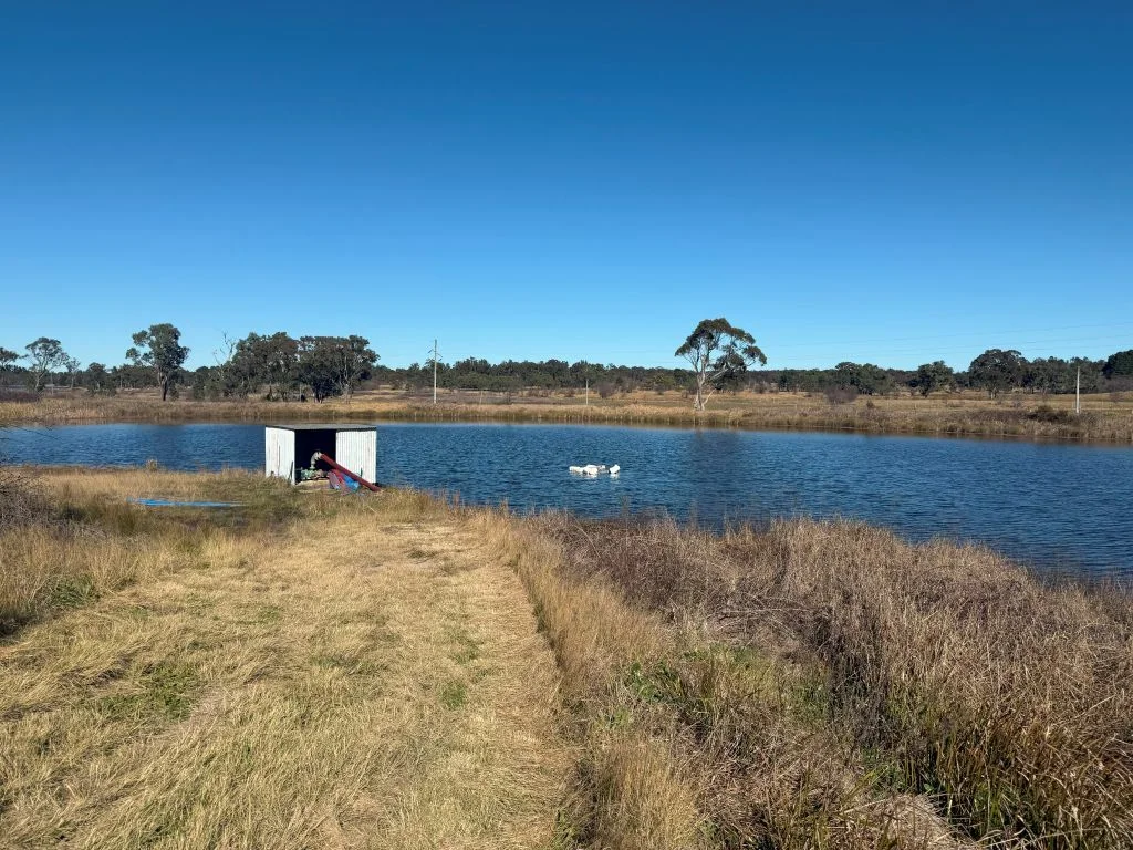 Additional image 14 of 79 Cottonvale School Rd, Cottonvale QLD 4375