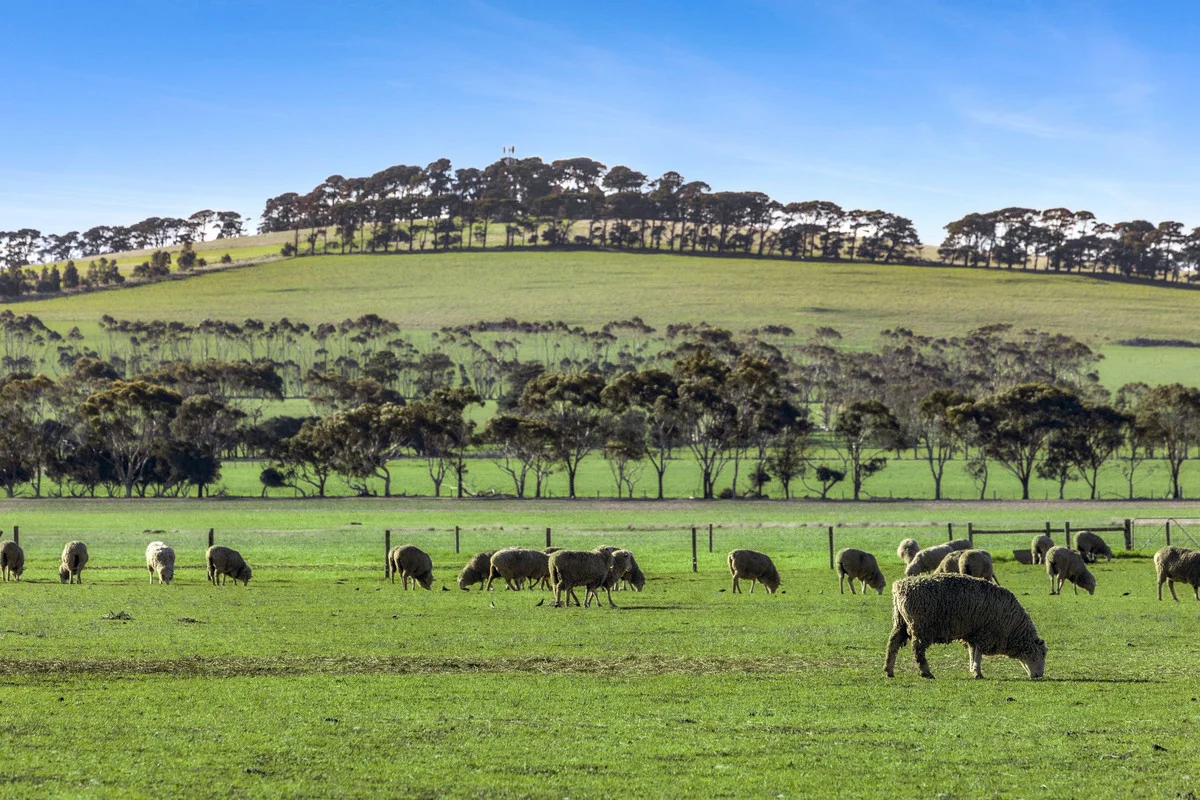 2125 Barrabool Road, Mount Moriac VIC 3240