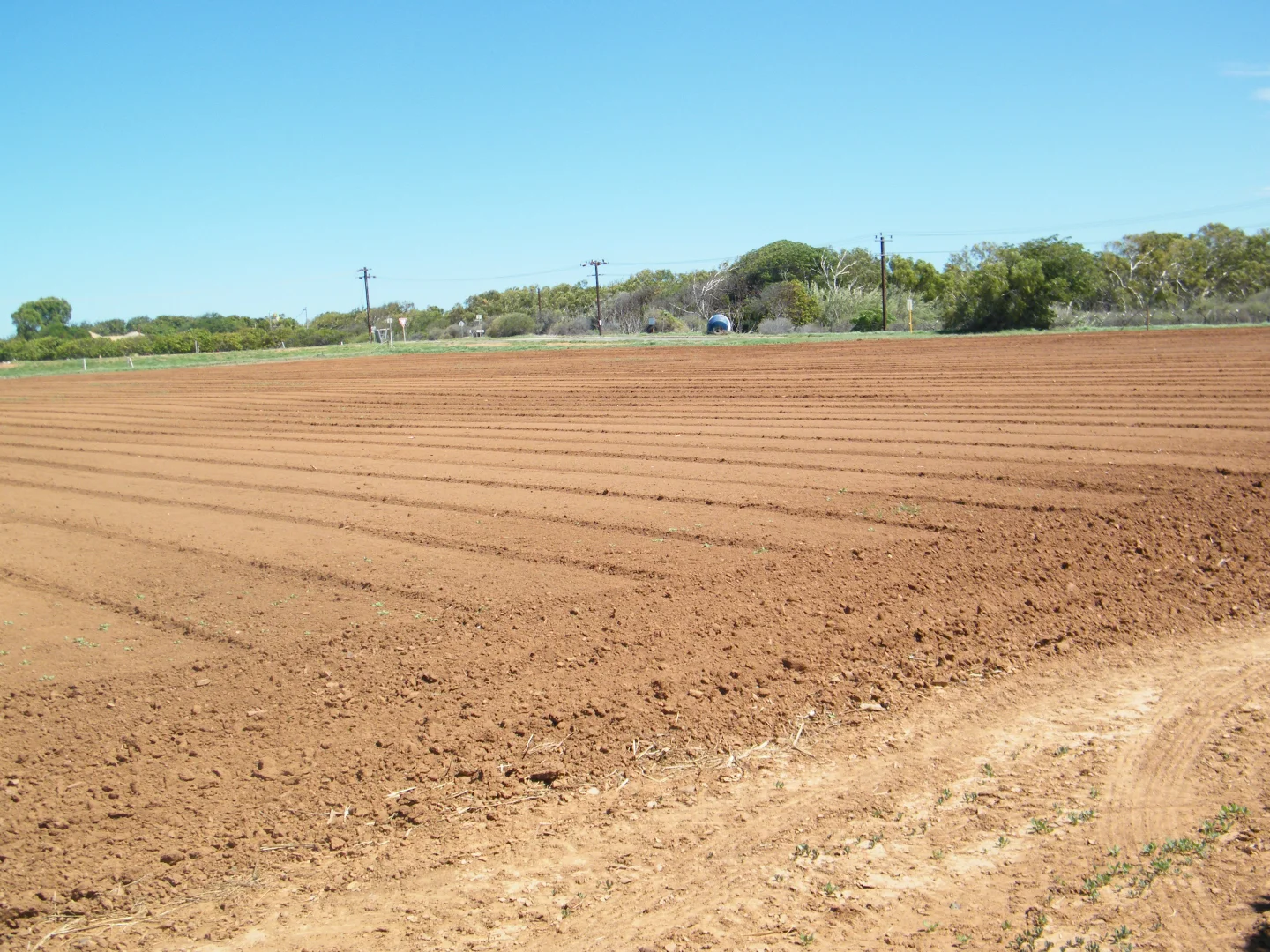 Additional image 2 of 270 Margaret Row, Carnarvon WA 6701