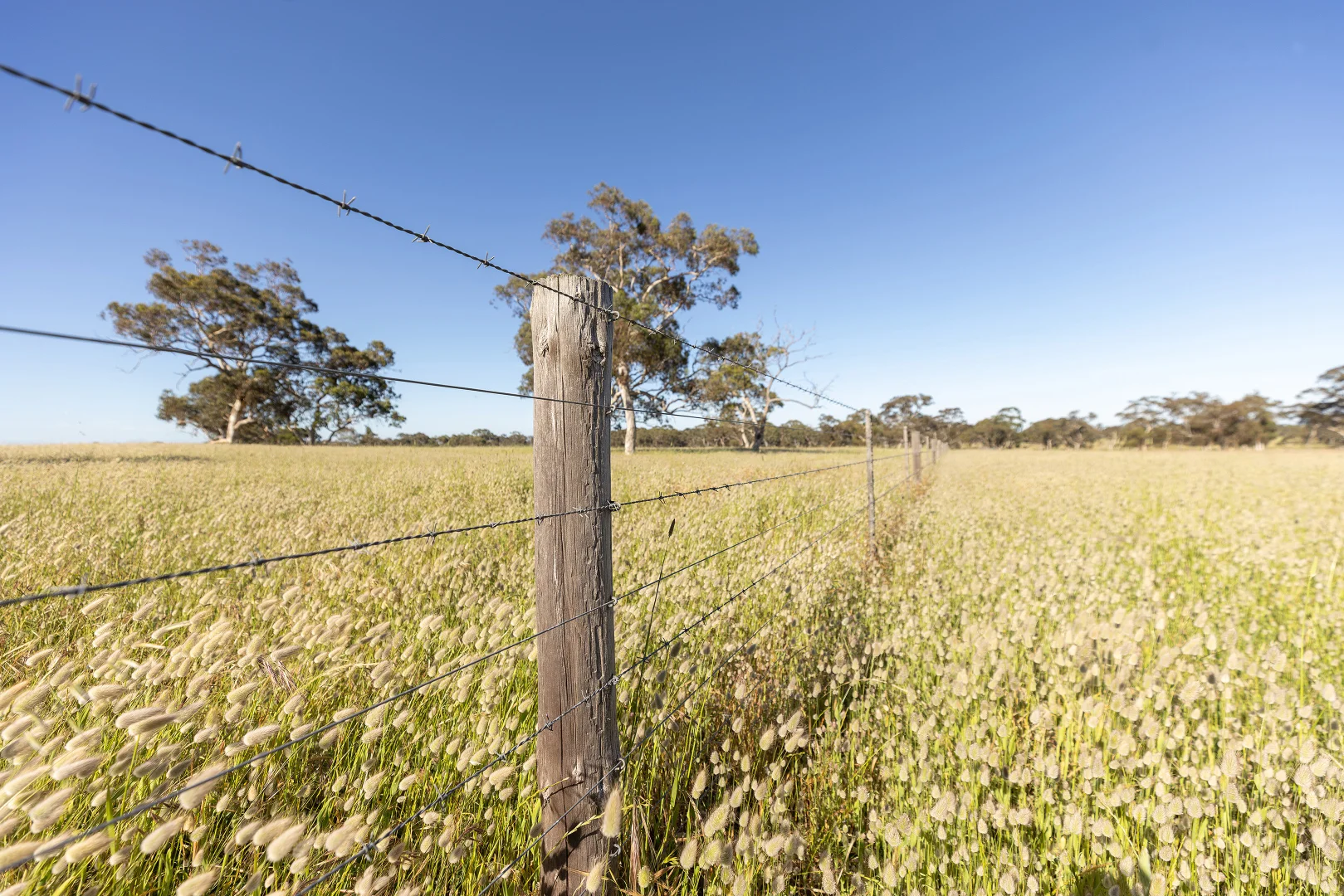 Additional image 22 of 1112 Minnie Crowe Road, Avenue Range SA 5273