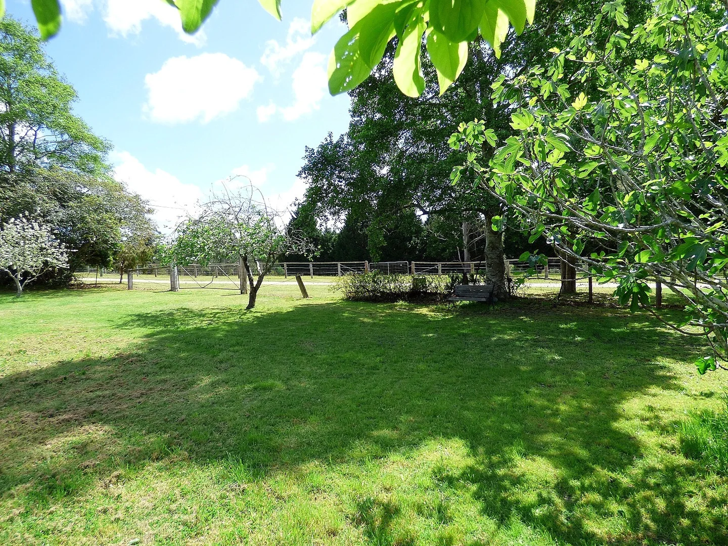 Additional image 20 of 7 Government Rd, Eden NSW 2551