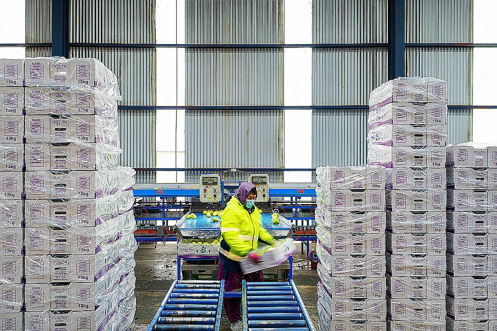 Additional image 10 of 595 Channel Road, Shepparton East VIC 3631