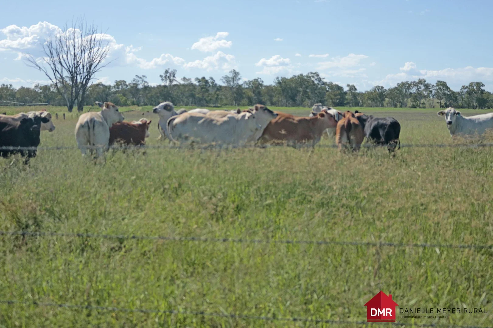 Additional image 28 of 95 Monto Mount Perry Road, Tellebang QLD 4630