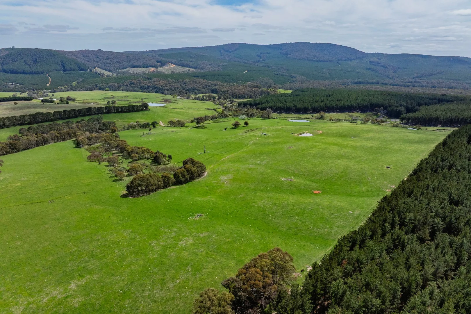 Additional image 29 of 2026 Jingellic Road, Tumbarumba NSW 2653