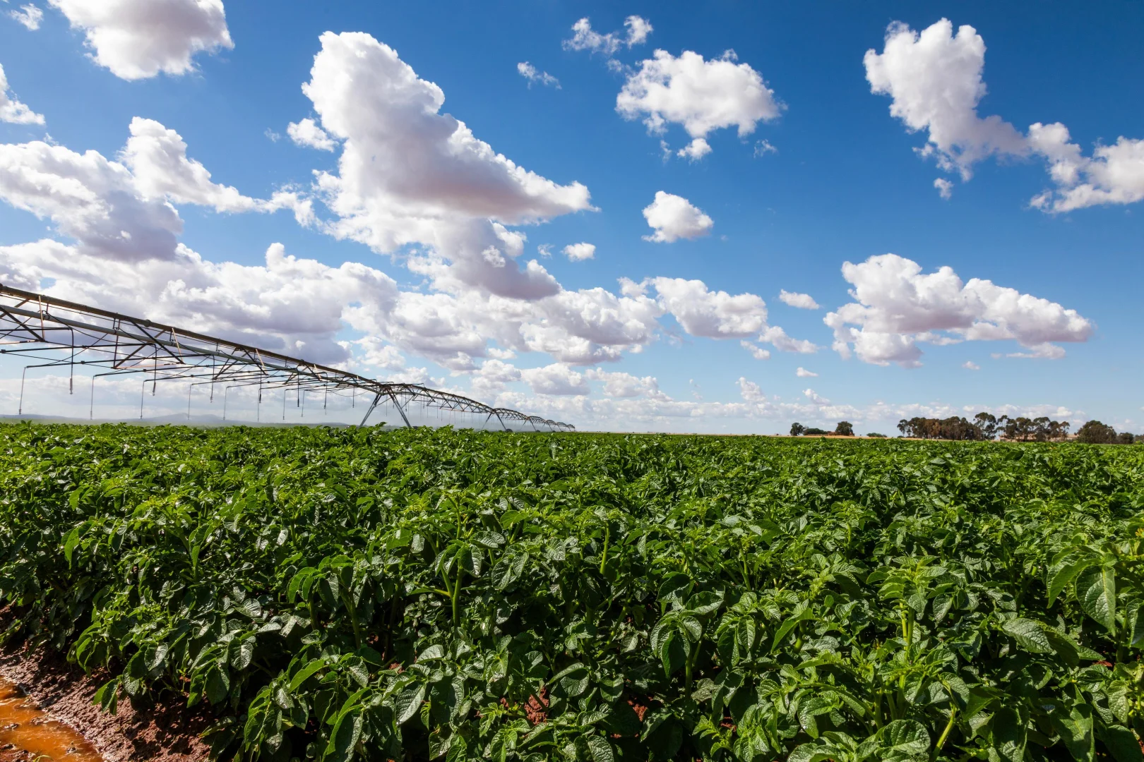 Additional image 7 of 12766 Kidman Way, Hillston NSW 2675