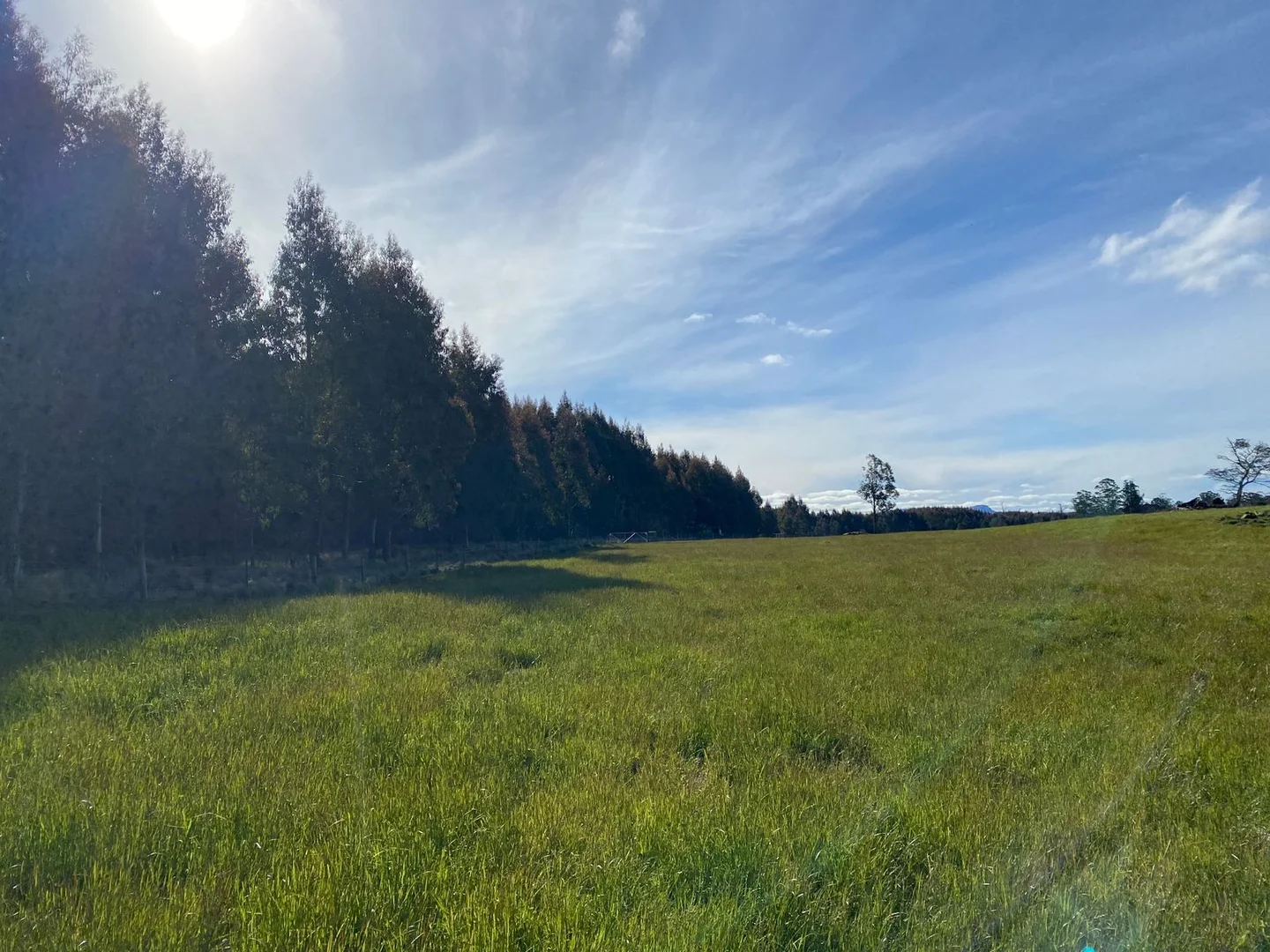 Additional image 23 of 560 Gads Hill Road, Mersey Forest TAS 7304