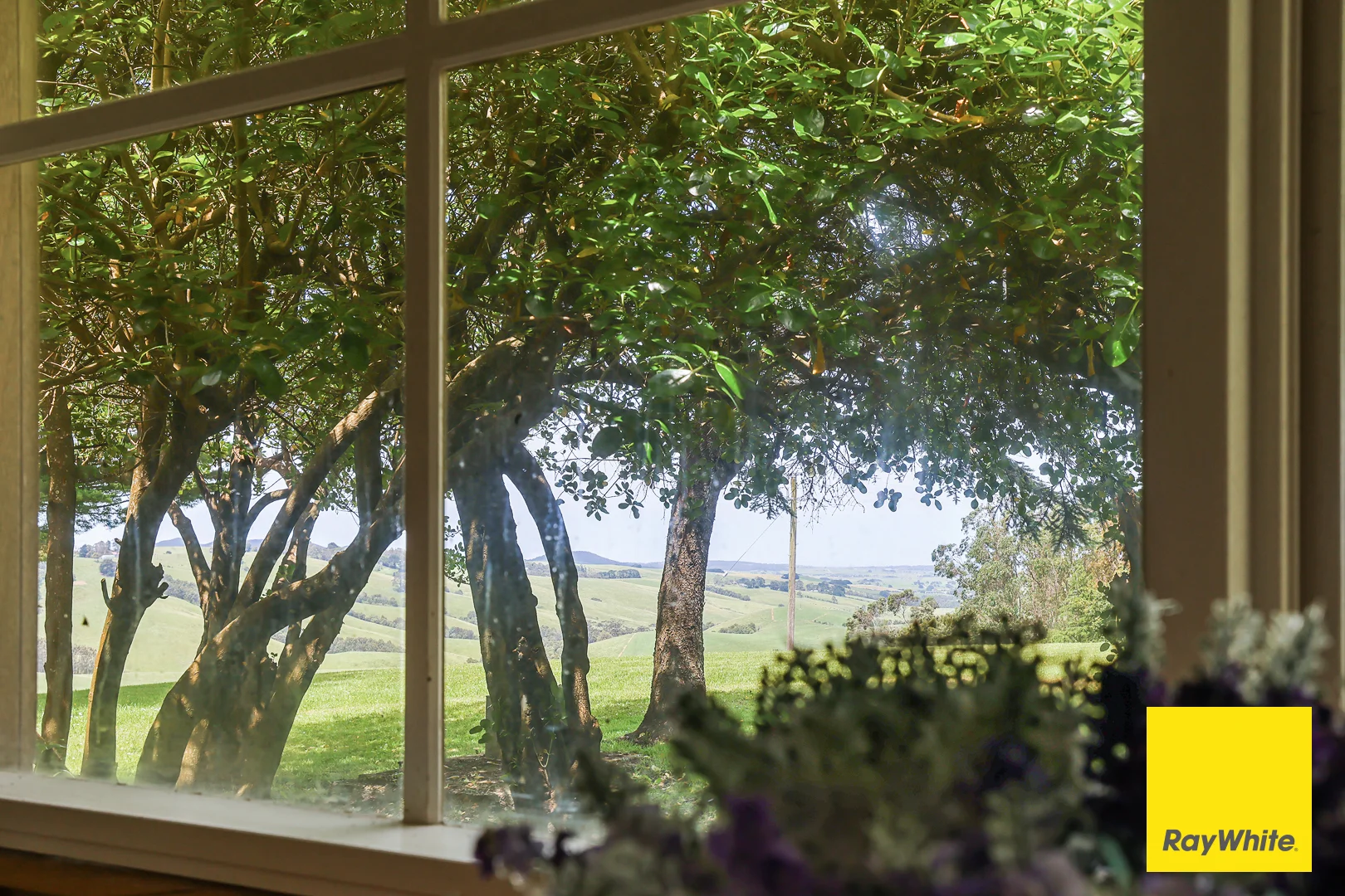 Stony Creek VIC 3957