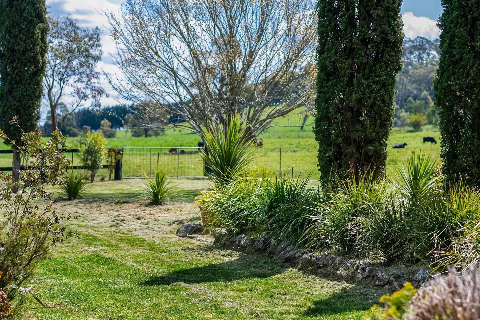 Additional image 23 of 138 Bibbys Lane, Werai NSW 2577