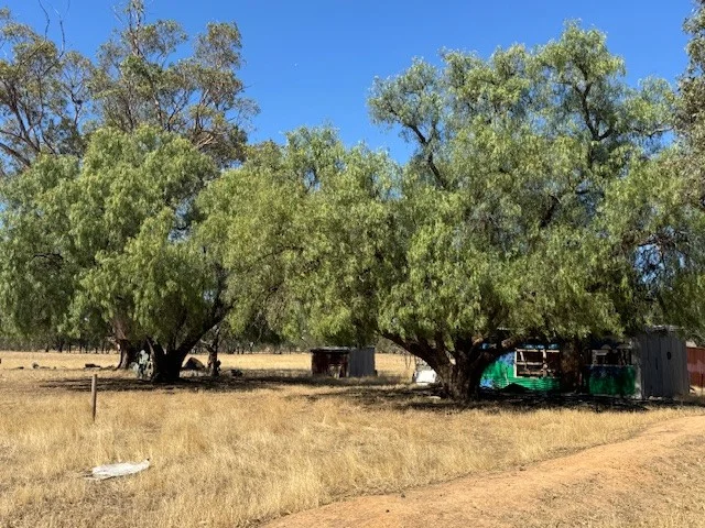 Additional image 11 of 43 Doggerts Lane, Wedderburn VIC 3518