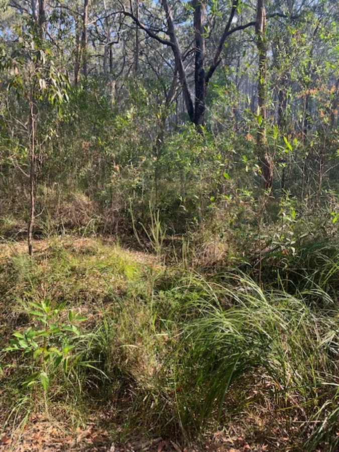 Additional image 10 of Lot 759 DP 13400 (10) City Crescent, North Arm Cove NSW 2324