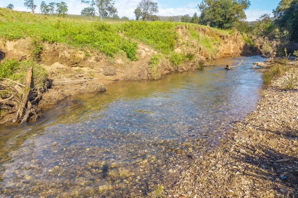 Additional image 9 of LOT 1 of 449 Hickeys Creek Road, Millbank NSW 2440