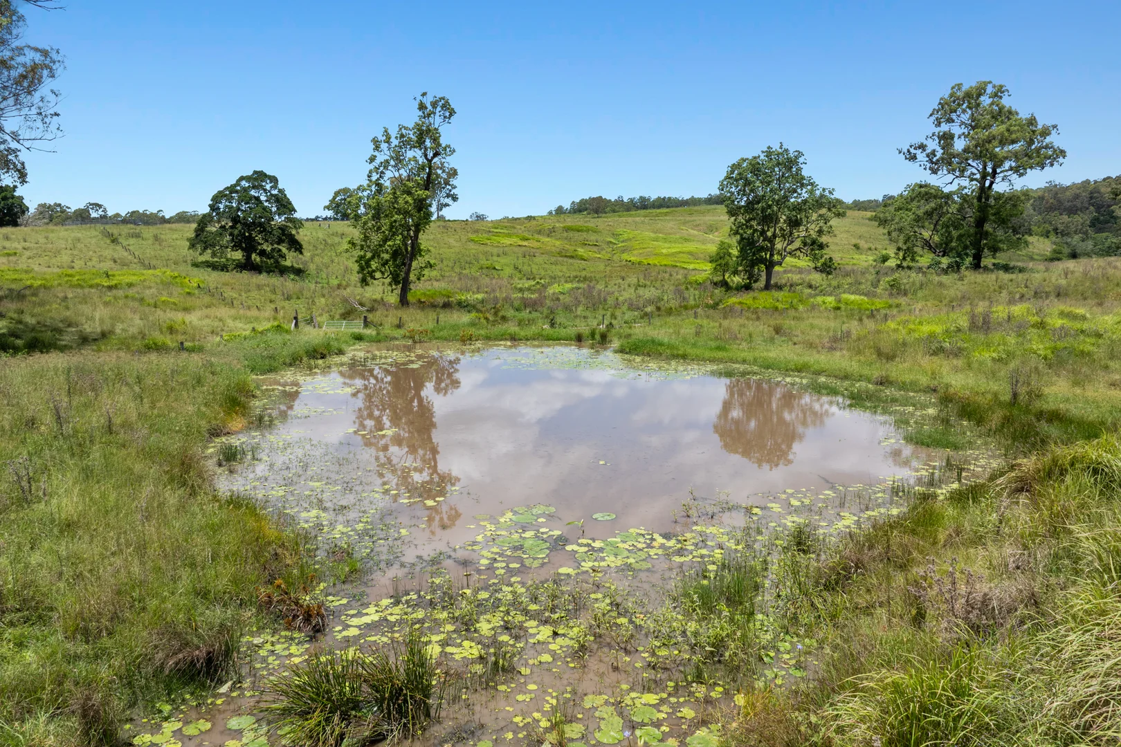 Additional image 15 of 665 Theresa Creek Road, Theresa Creek NSW 2469