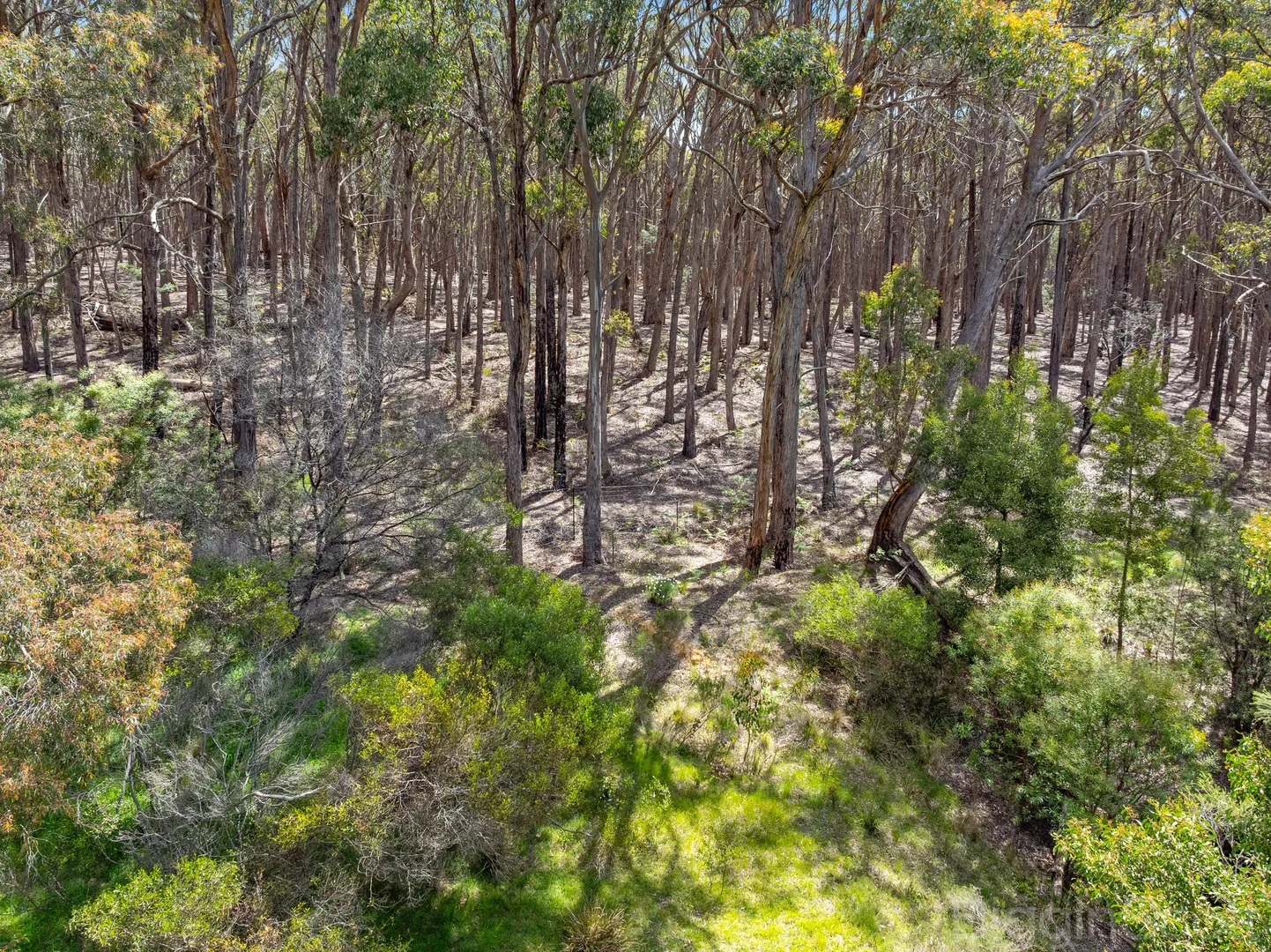 Additional image 7 of 184 Tori's Road, Glenlyon VIC 3461