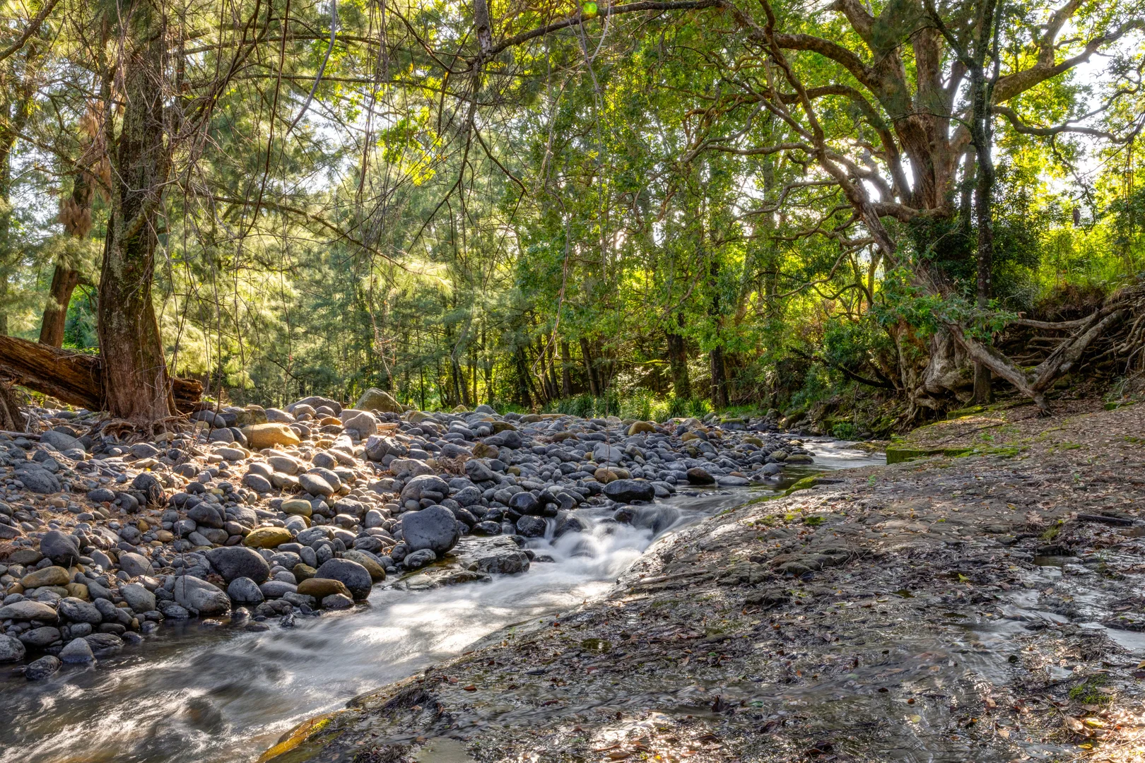 Additional image 21 of 1012 Boonabilla Road, Gresford NSW 2311