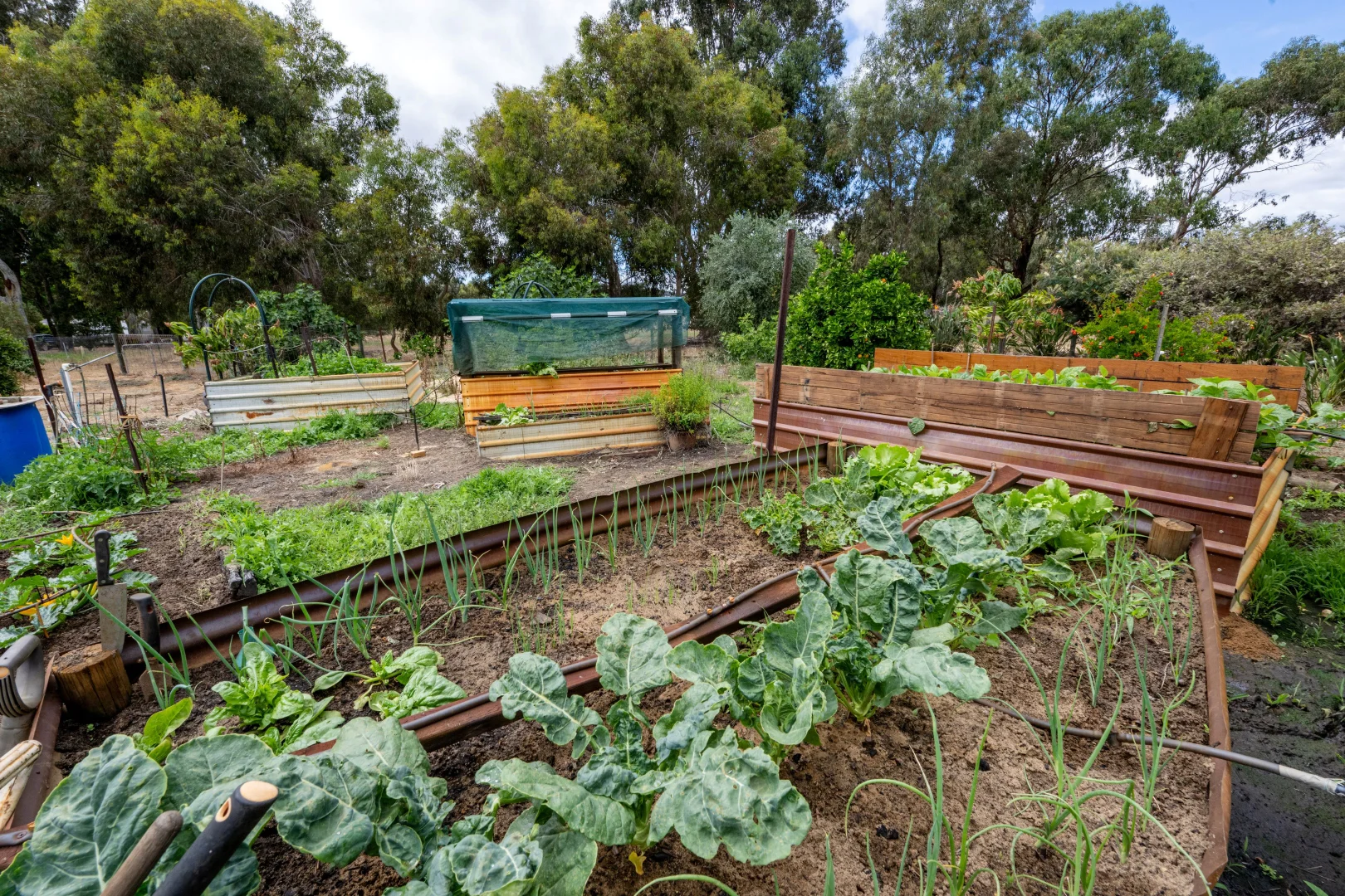 Additional image 30 of 56 Clarke Street, Burekup WA 6227