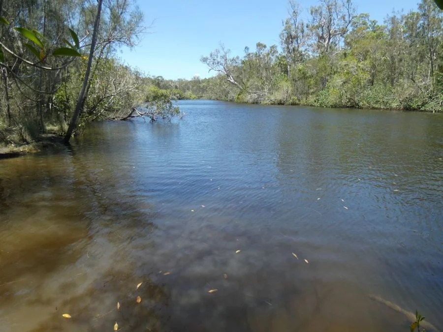 Additional image 27 of 668 Matchbox Road, Deepwater QLD 4674