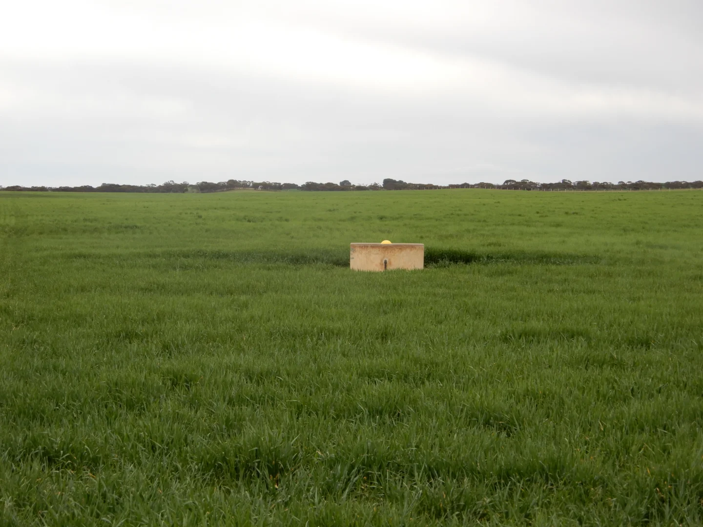 Additional image 10 of 1481 Parrakie North Road, Lameroo SA 5302