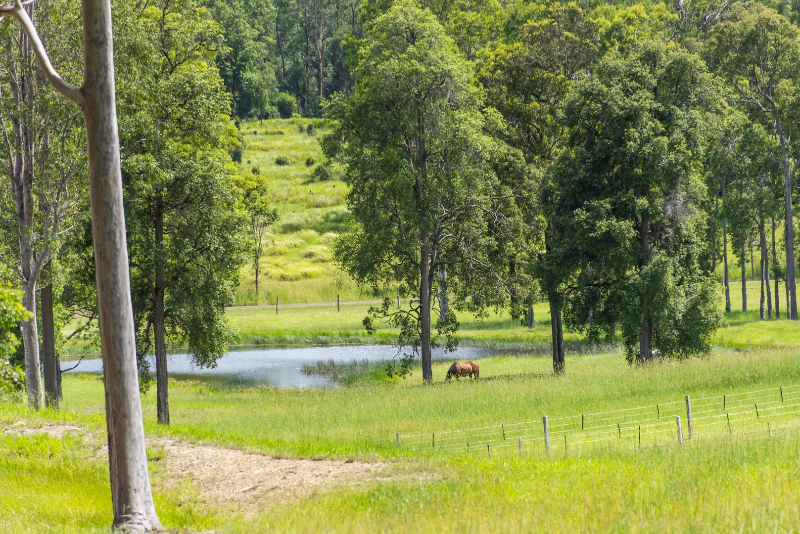 Additional image 19 of 240 Keefton Road, Woondum QLD 4570