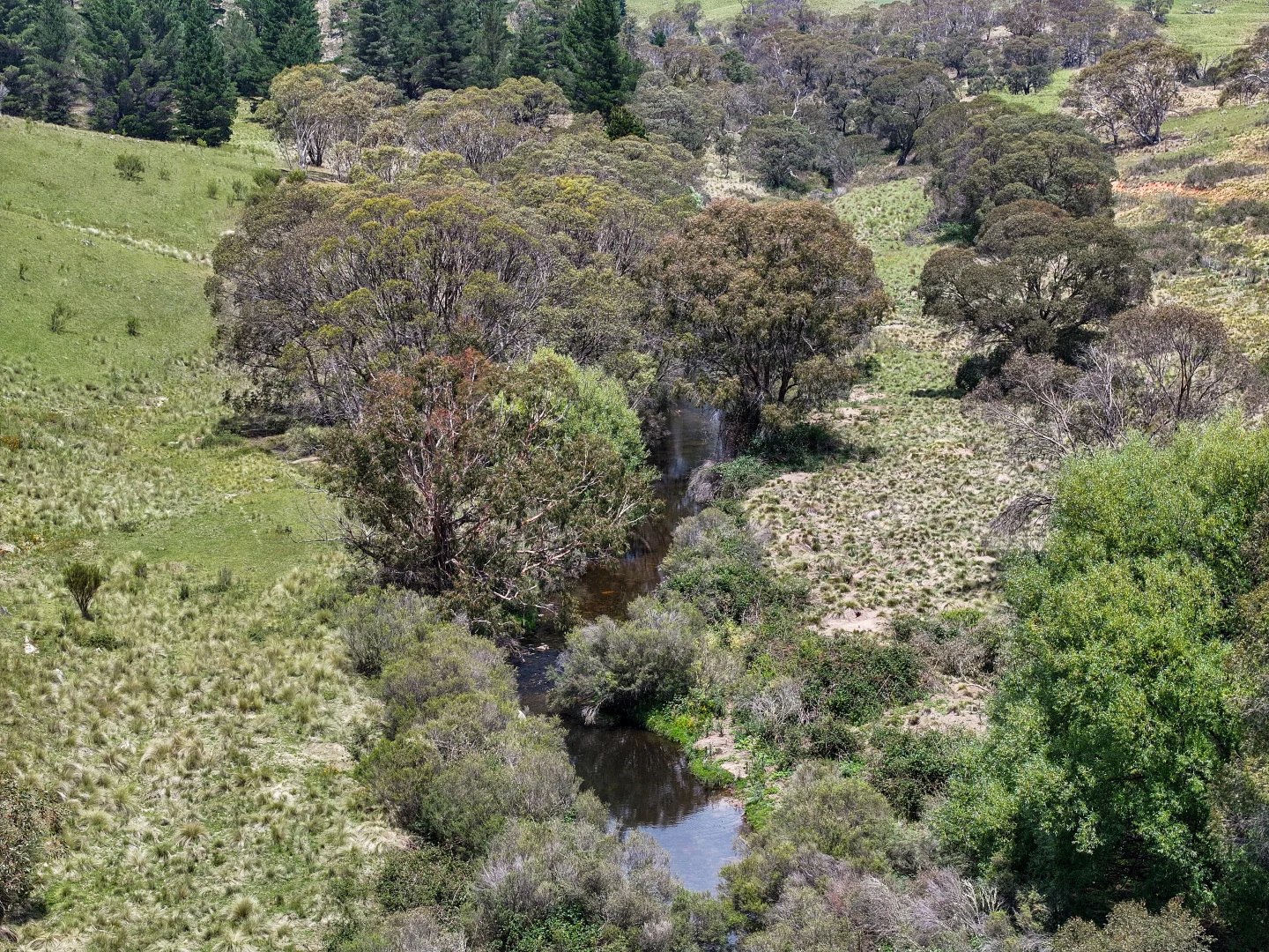 Additional image 22 of 4540 Jerangle Road, Captains Flat NSW 2623