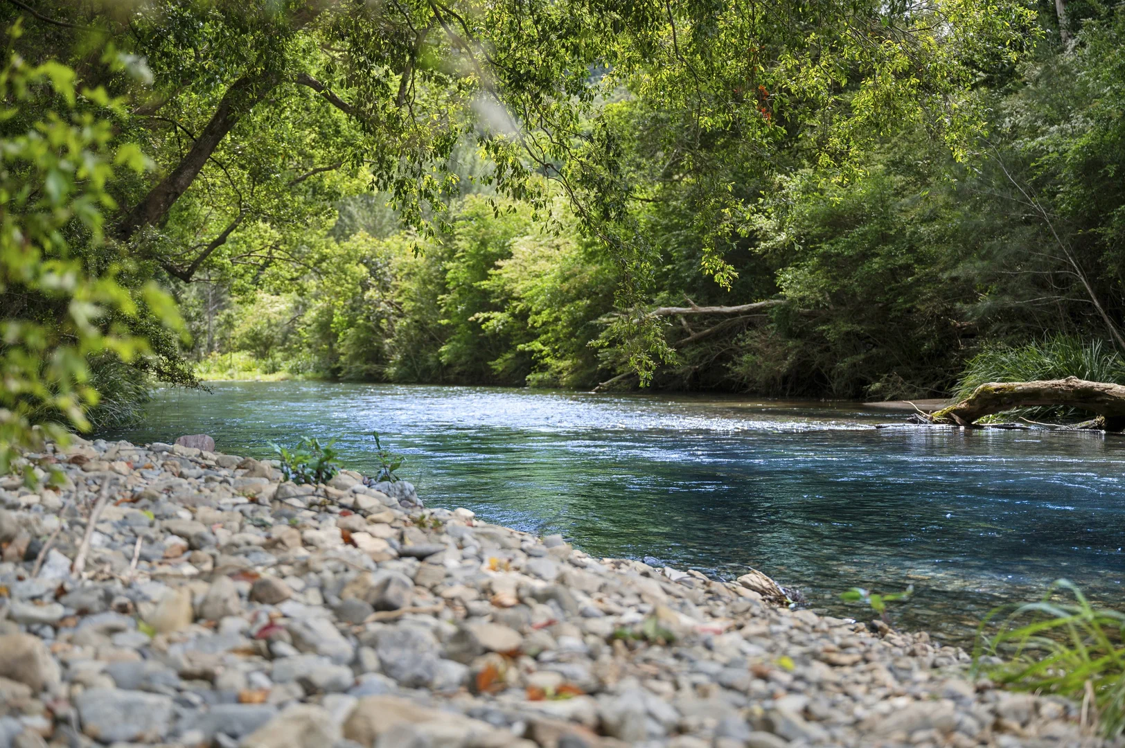 Additional image 2 of 280A Upper Orara Road, Karangi NSW 2450