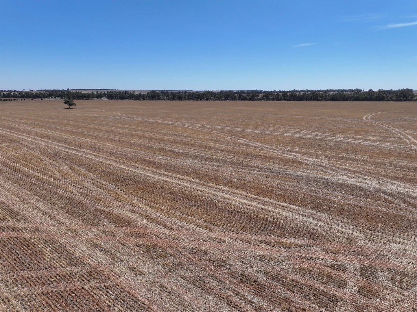 Additional image 9 of 'Nolens'  5000 Barellan Road, Colinroobie NSW 2700