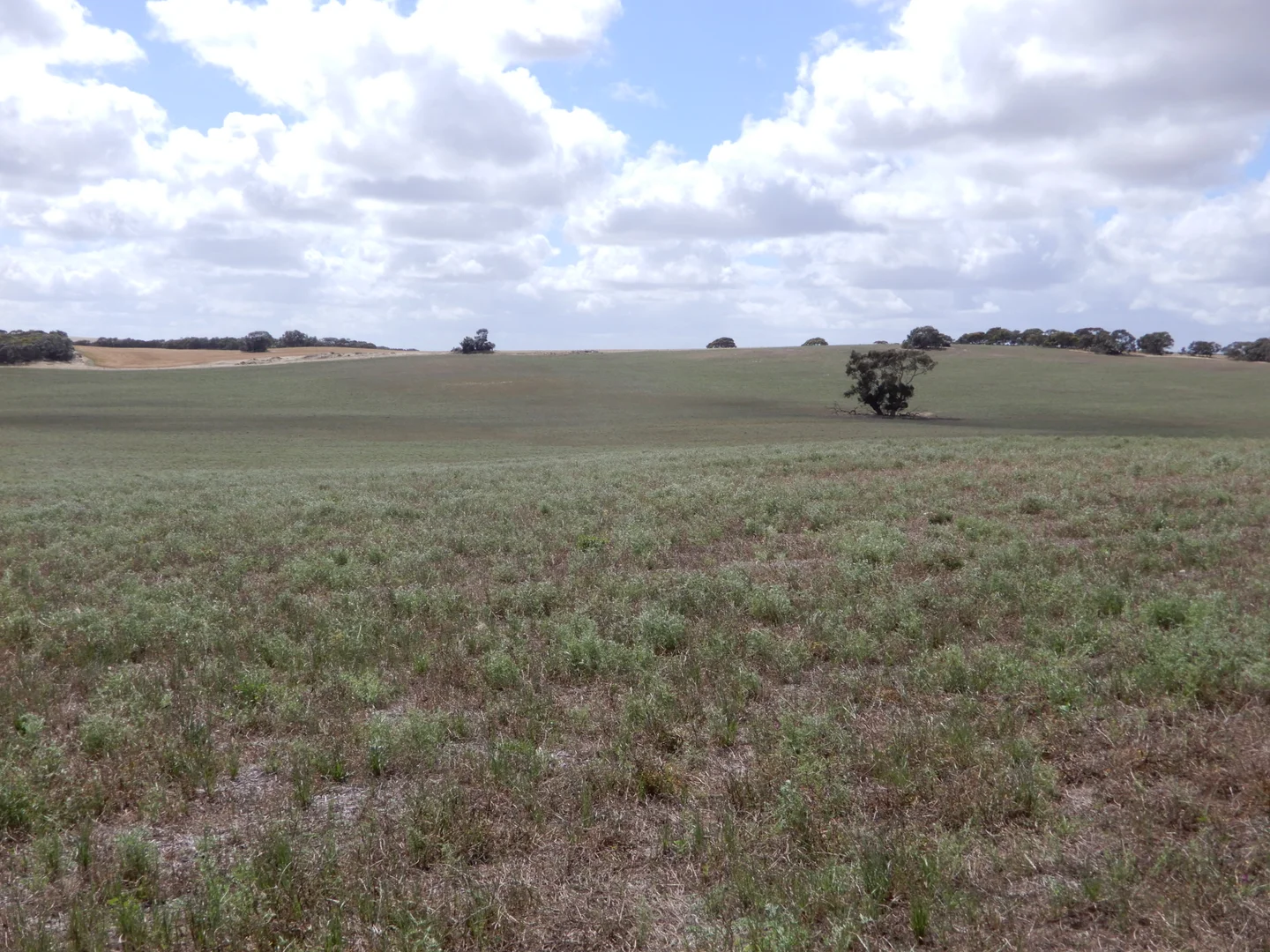 Additional image 15 of 33 Lutze Road, Coonalpyn SA 5265