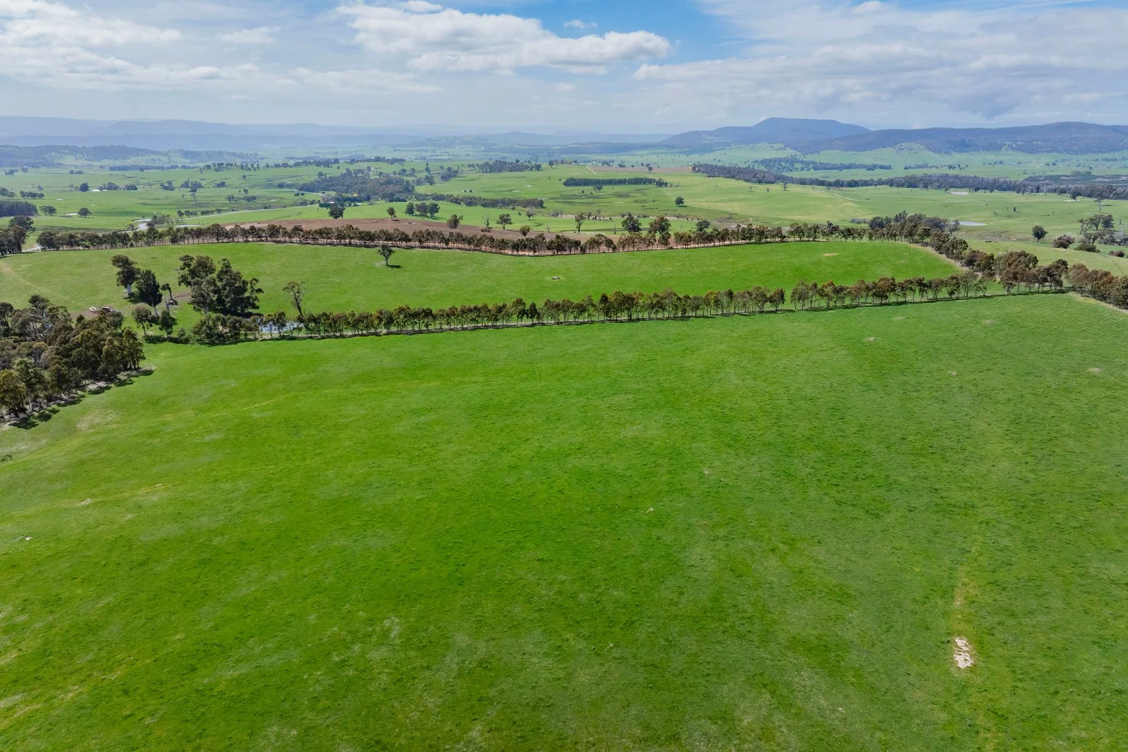 Additional image 9 of 2026 Jingellic Road, Tumbarumba NSW 2653